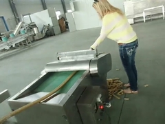 Thức ăn Kibble Pet chó mèo Máy xử lý Thiết bị máy đùn Chứng nhận BV