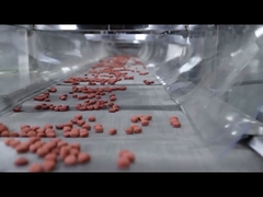 Dây chuyền chế biến thức ăn cho thú cưng hoàn toàn tự động Chứng chỉ CE