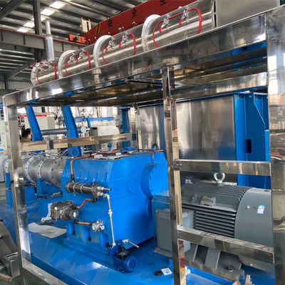 600kg/h Máy đẩy hạt thức ăn cá nổi loại khô