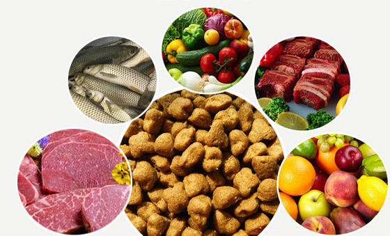 SBN Máy sản xuất thực phẩm yêu thích của chó hoàn toàn tự động