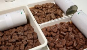 Dây chuyền/Máy móc Chế biến Thức ăn Chăn nuôi Chuyên nghiệp