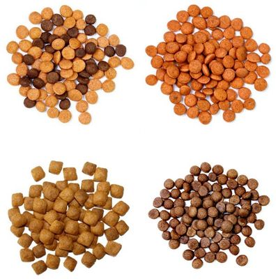 Khô hình hóa Kibble tự động Extruder chó thực phẩm làm máy dây