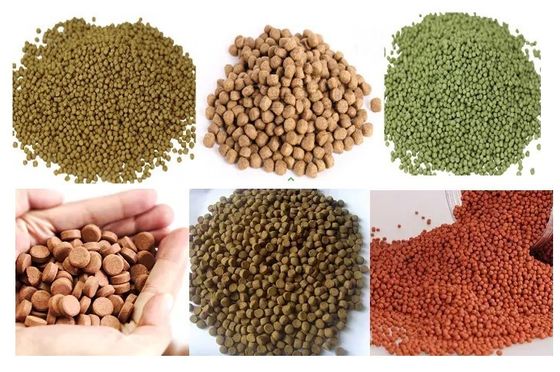 Máy móc chế biến thức ăn cho cá bằng thép không gỉ tự động hoàn toàn