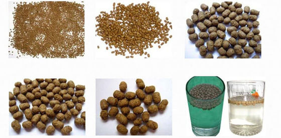 Dịch vụ vận hành tại chỗ giảng dạy máy đùn thức ăn cho vật nuôi