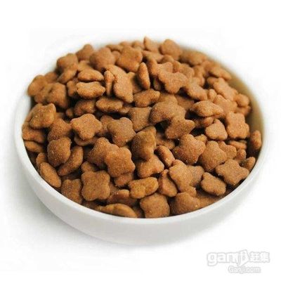 Máy làm thức ăn cho thú cưng 250KG/H Ba Pha với Băng tải khí