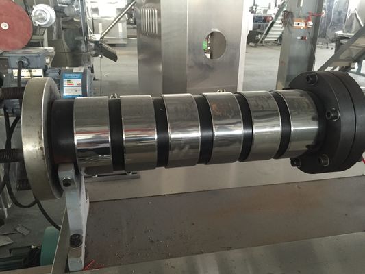 Dây chuyền sản xuất thức ăn nổi cho cá 100kg/giờ Delta Inverter