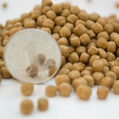 Máy đùn thức ăn nổi cho cá 2-3 TPH bằng thép không gỉ 201