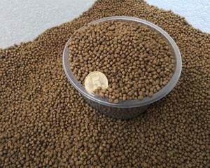 Máy đùn thức ăn chăn nuôi trục vít đôi 160kg/giờ, dây chuyền sản xuất viên thức ăn chăn nuôi