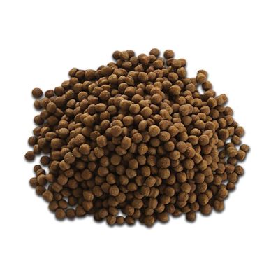 Máy đùn thức ăn chăn nuôi trục vít đôi 160kg/giờ, dây chuyền sản xuất viên thức ăn chăn nuôi