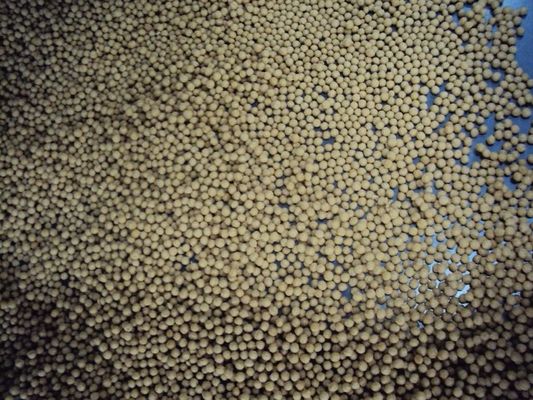 Máy đùn thức ăn chăn nuôi cá nhỏ SS304, máy làm thức ăn chìm cho cá