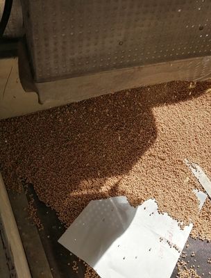 Máy làm thức ăn cho cá, tôm, vật nuôi nhỏ với nhiều hình dạng khác nhau