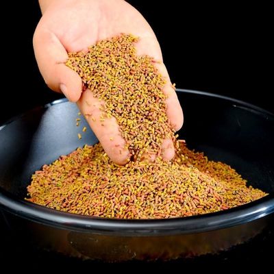 Máy đùn thức ăn nổi cho cá, công suất 2000-6000 kg/h