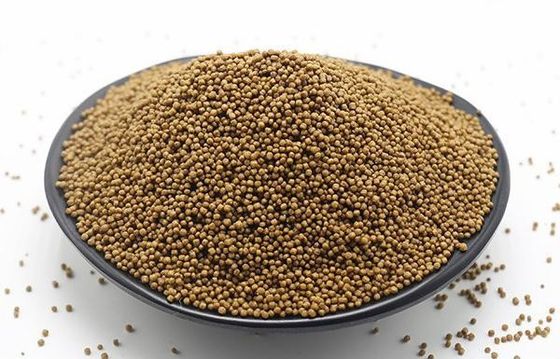 Máy ép viên thức ăn cho cá SS201 Máy làm viên cá nổi