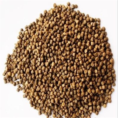 Máy chế biến hạt thức ăn cá tự động