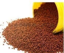 Máy chế biến hạt thức ăn cá tự động