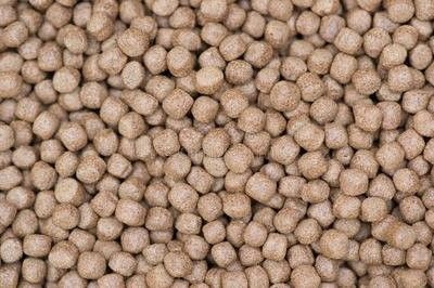 Nhà máy sản xuất thức ăn chăn nuôi cá, máy đùn thức ăn cho cá