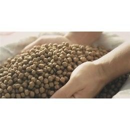 Máy ép viên thức ăn chăn nuôi cá 200-260KG/H, thiết bị cho ăn cá