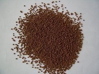 Máy ép viên thức ăn chăn nuôi cá 200-260KG/H, thiết bị cho ăn cá