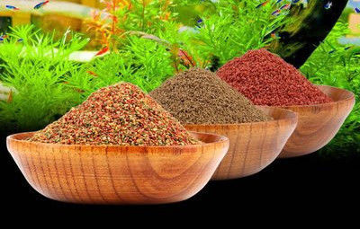 Máy ép viên thức ăn chăn nuôi cá 200-260KG/H, thiết bị cho ăn cá