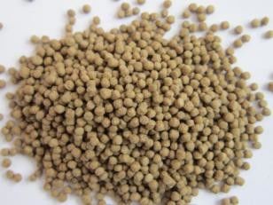 Máy làm thức ăn nổi cho cá 500-600kg/H cho nuôi trồng thủy sản