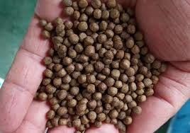 Máy sản xuất thức ăn chăn nuôi thủy sản SUS 100kg/H-6t/H