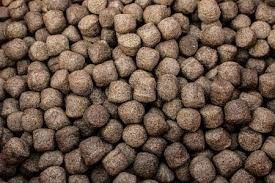 Máy đùn thức ăn chăn nuôi thủy sản trục vít đôi 6TPH cho thức ăn nổi