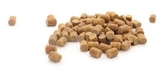 Máy đùn thức ăn chăn nuôi thủy sản trục vít đôi 6TPH cho thức ăn nổi