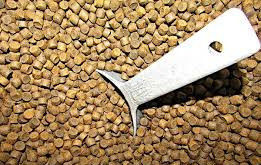 Máy đùn thức ăn chăn nuôi thủy sản trục vít đôi 6TPH cho thức ăn nổi