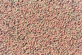 Máy đùn thức ăn chăn nuôi thủy sản trục vít đôi 100kg/h-6t/h cho máy ép viên thức ăn nổi