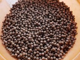 Máy đùn thức ăn chăn nuôi cá DSP 70, máy sấy thức ăn viên nổi, máy sấy thức ăn dạng viên