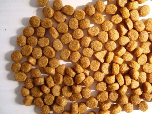 Máy đùn thức ăn chăn nuôi thủy sản trục vít đôi SUS