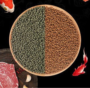 Automatic 500kg/H Double Screw Floating Fish Feed Machine