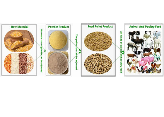 Máy móc chế biến thức ăn gia súc Bò Ngựa Cừu, vật liệu thép không gỉ #304